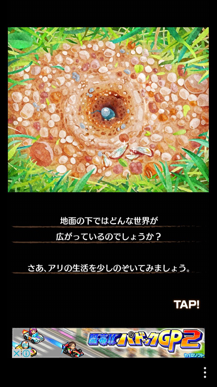 アリの巣コロニー①