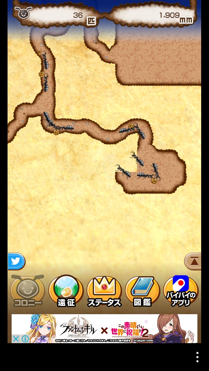 アリの巣コロニー③