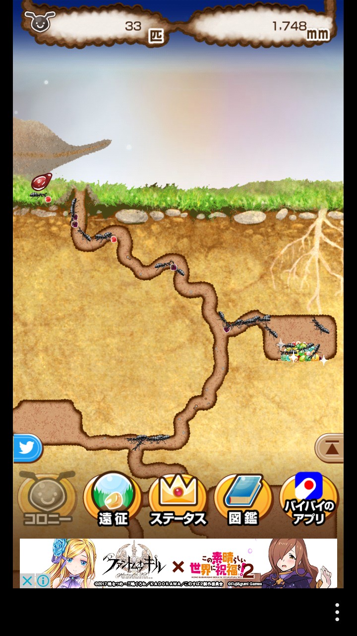 アリの巣コロニー④