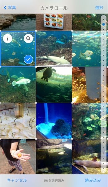 Camera+ Free カメラロール