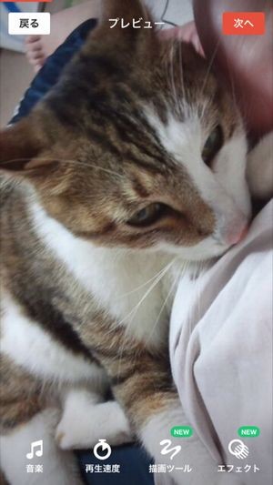 Flipagram スライドショー仕上げ