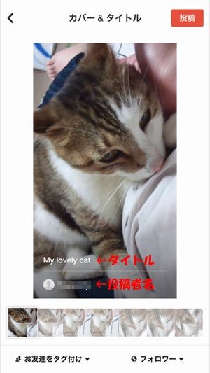 Flipagram カバー&タイトル