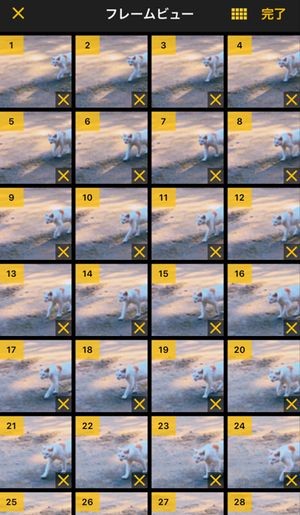 ImgPlay フレームビュー