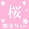 桜開花Map アイコン