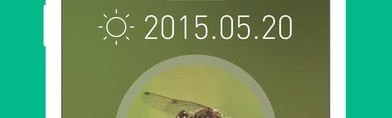【美しい写真図鑑 - にほんの昆虫 - プチペディア】昆虫図鑑アプリの決定版！約1200種のデータを美しい写真とともに収録。