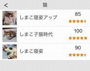 採点メモ帳 アイテムリスト