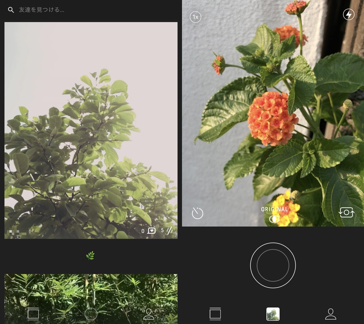 専用SNSとカメラ画面