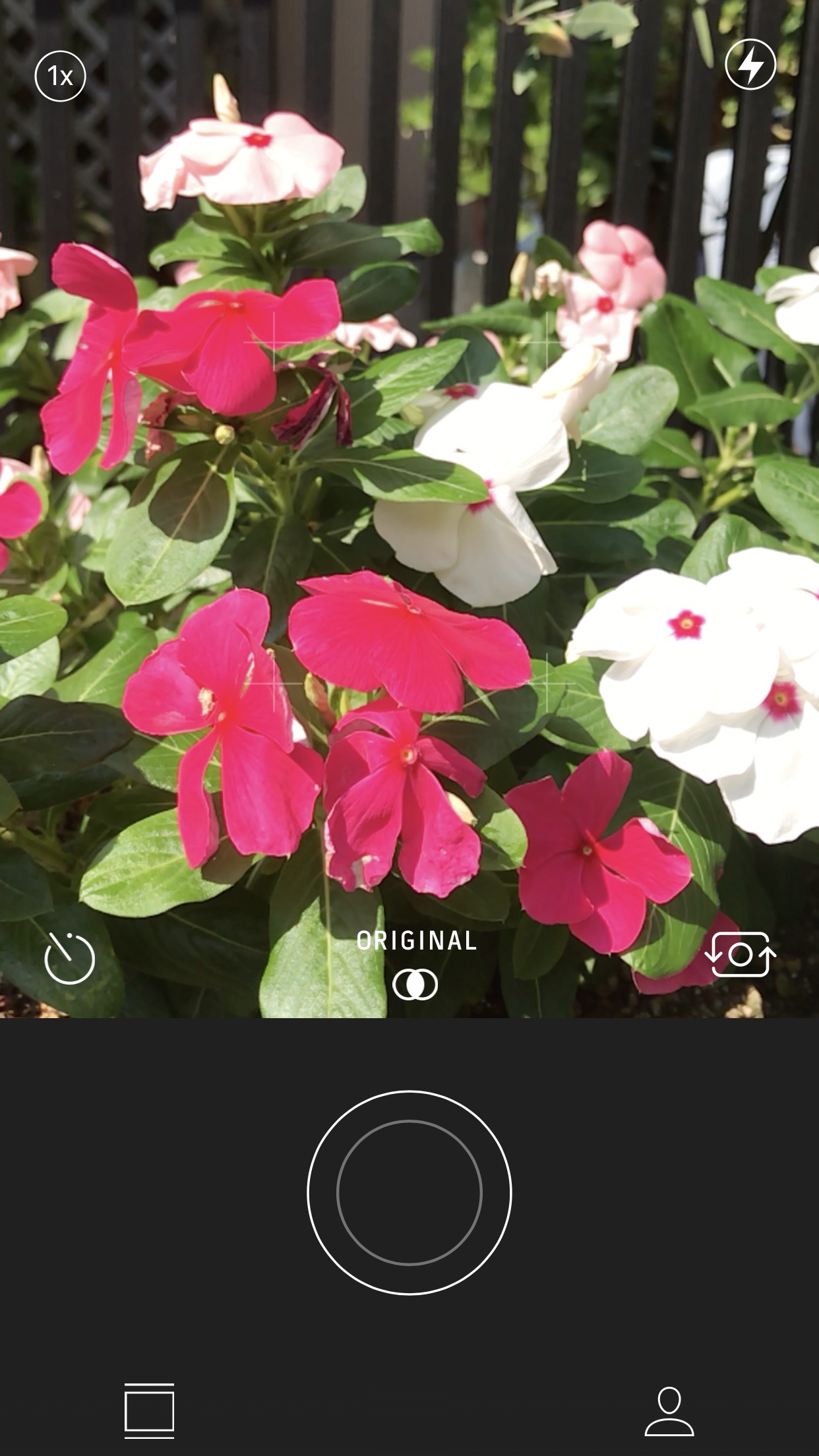 動く写真を手軽にSNS公開できます