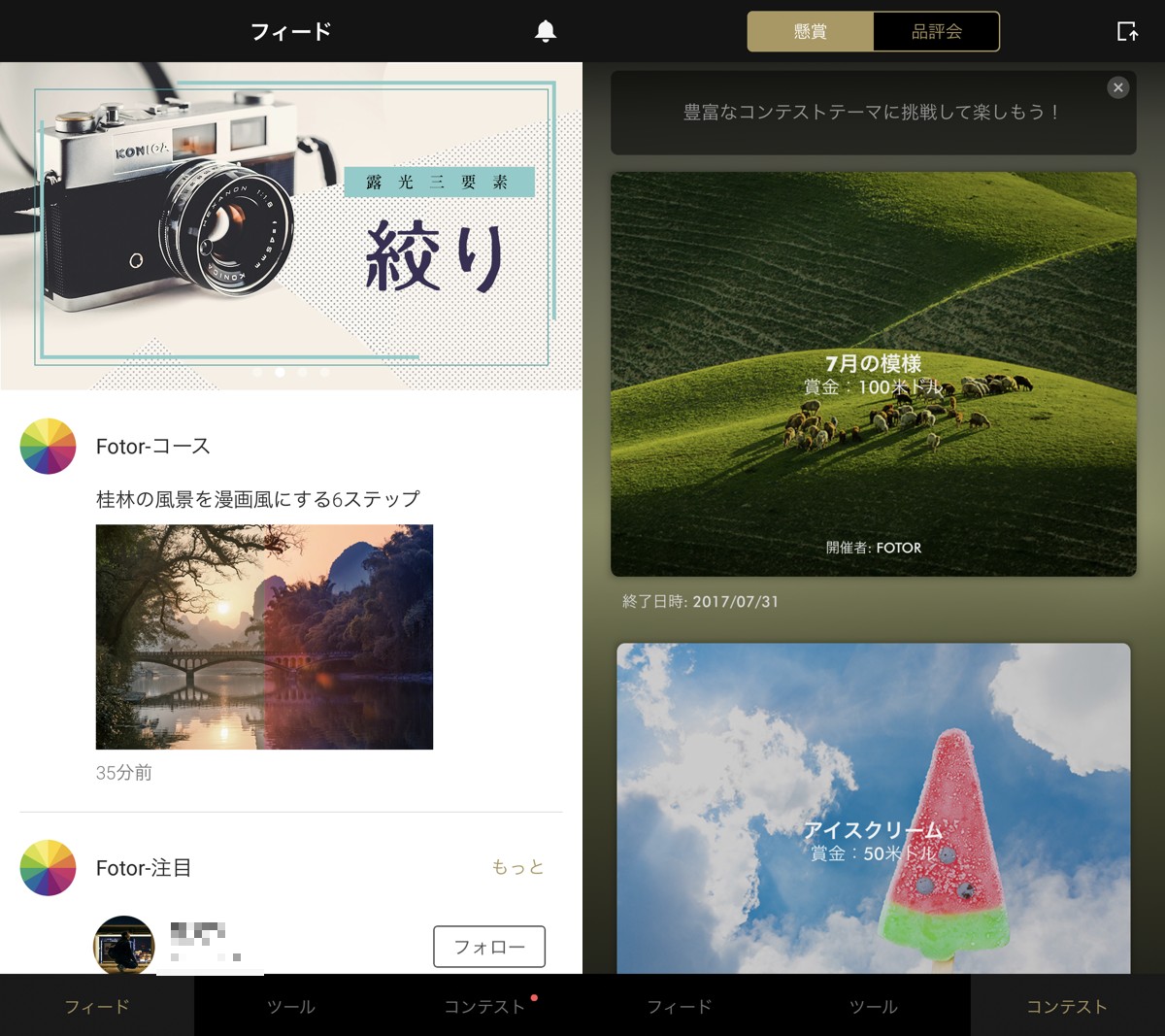 フィードとコンテスト