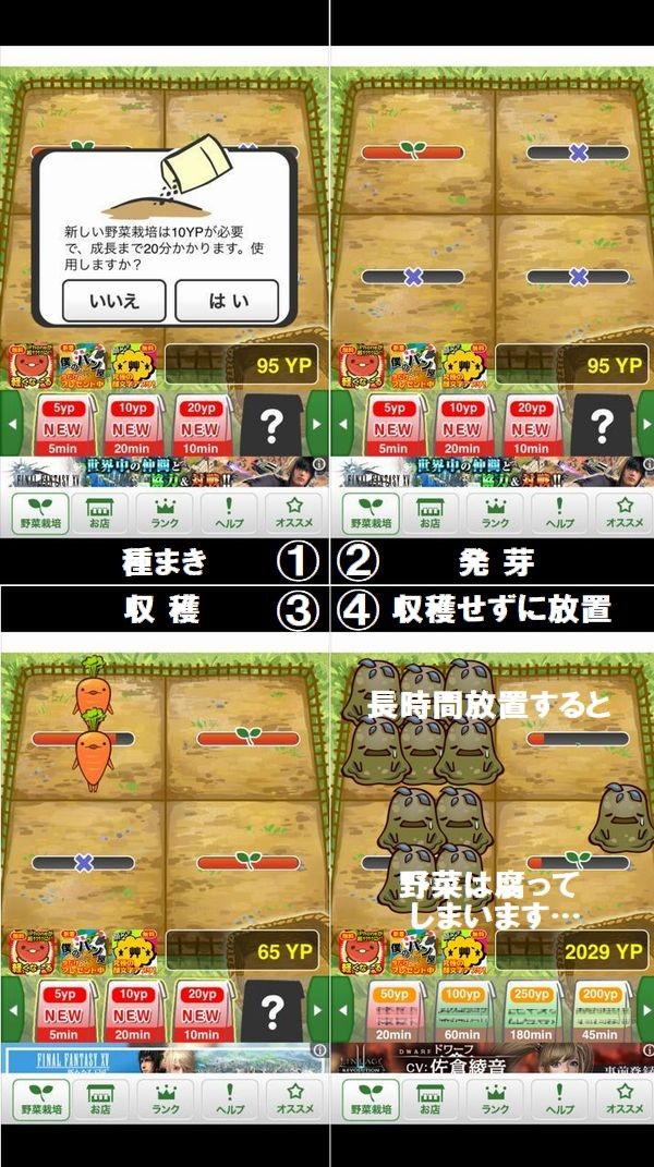 育てて野菜農園 ゲームの流れ