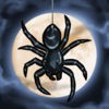 Spider: Rite of the Shrouded Moon アイコン