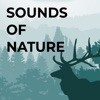 Nature Sounds for Relax アイコン