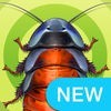 iBugs Invasion — バグキック - 昆虫ゲームを子供のための：カエル、蟻、蜘蛛、ムカデ＆蝶を アイコン