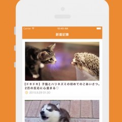 かわいい動画が満載！アプリ「ペットフィルム」で1日の疲れを癒そう！のアイコン