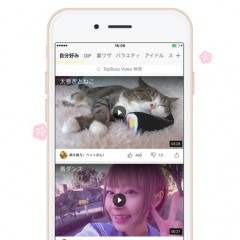 エンタメ動画は癒しになる！？アプリ「TopBuzz Video」でアイフォンをさらに使いこなそう！のアイコン