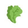 Yasai / 野菜の保存方法・選び方・賞味期限・レシピを簡単チェック！ アイコン