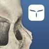 AppSurgeOn - 3D Skull Atlas アイコン
