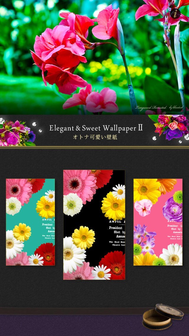 オトナ可愛い壁紙 Elegant Cute Wallpapers かわいい待ち受けで楽しもう Iphone Androidスマホアプリ ドットアップス Apps