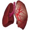 肺の聴診 アイコン