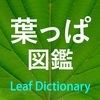 葉っぱ図鑑 - Leaf Dictionary - アイコン