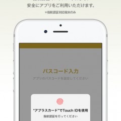 もっとぐっと便利に！アプラスカード会員向けWEBサービス「NETstation*APLUS」のスマホアプリ！のアイコン