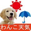 わんこ天気〜天気予報＆可愛い犬の写真〜 アイコン