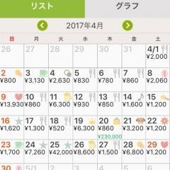 pc連携できる神アプリおカネレコ、自宅でも外出先でも家計簿チェック！のアイコン
