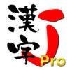 漢字J Pro | 6321漢字 手書き 筆順 読み アイコン