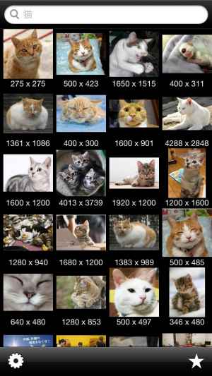 画像検索 画像や壁紙をiphone上で検索 おすすめ 無料スマホゲームアプリ Ios Androidアプリ探しはドットアップス Apps