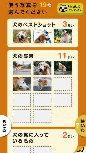 スライドショー作成アプリ わたし 犬 いぬ 思い出ぽん Iphone Androidスマホアプリ ドットアップス Apps