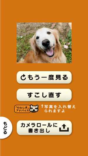 スライドショー作成アプリ わたし 犬 いぬ 思い出ぽん Iphone Androidスマホアプリ ドットアップス Apps