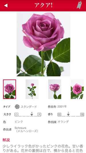 切り花 バラ図鑑 1000 Iphone Android対応のスマホアプリ探すなら Apps