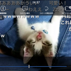 日本のカルチャー発信源！？感動動画もネタ動画もここに来れば一緒に楽しめる！niconico公式アプリ『niconico (ニコニコ動画／ニコニコ生放送)』のアイコン