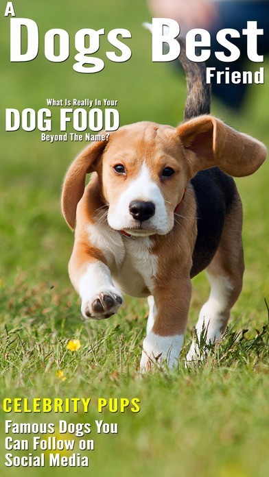 A Dogs Best Friend | スクリーンショットその1