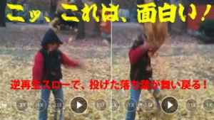 動画可変プレイヤーshiftplayer 逆再生スロー スロー 2or3倍速再生 おすすめ 無料スマホゲームアプリ Ios Androidアプリ探しはドットアップス Apps 動画可変プレイヤーshiftplayer 逆再生スロー スロー 2or3倍速再生 おすすめ 無料スマホゲームアプリ Ios Androidアプリ探しはドットアップス Apps