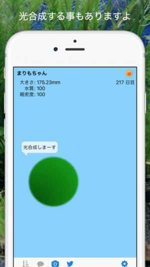 まりもちゃん 暇な時に水を替えて かわいい まりも を育てよう Iphone Androidスマホアプリ ドットアップス Apps