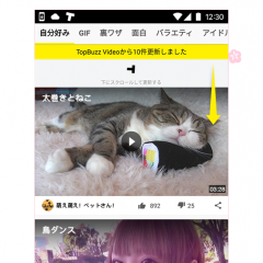 芸能や麻雀などジャンルが豊富！BuzzVideoは面白系も人気な動画アプリのアイコン