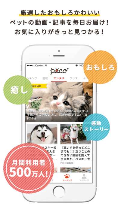 ペットはあなたの心の癒し おすすめ動画アプリ おすすめ 無料スマホゲームアプリ Ios Androidアプリ探しはドットアップス Apps