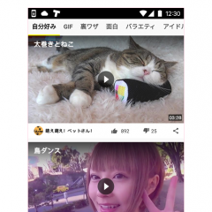 アニメや動画が見放題！？アニメ好き必見のアプリ！のアイコン