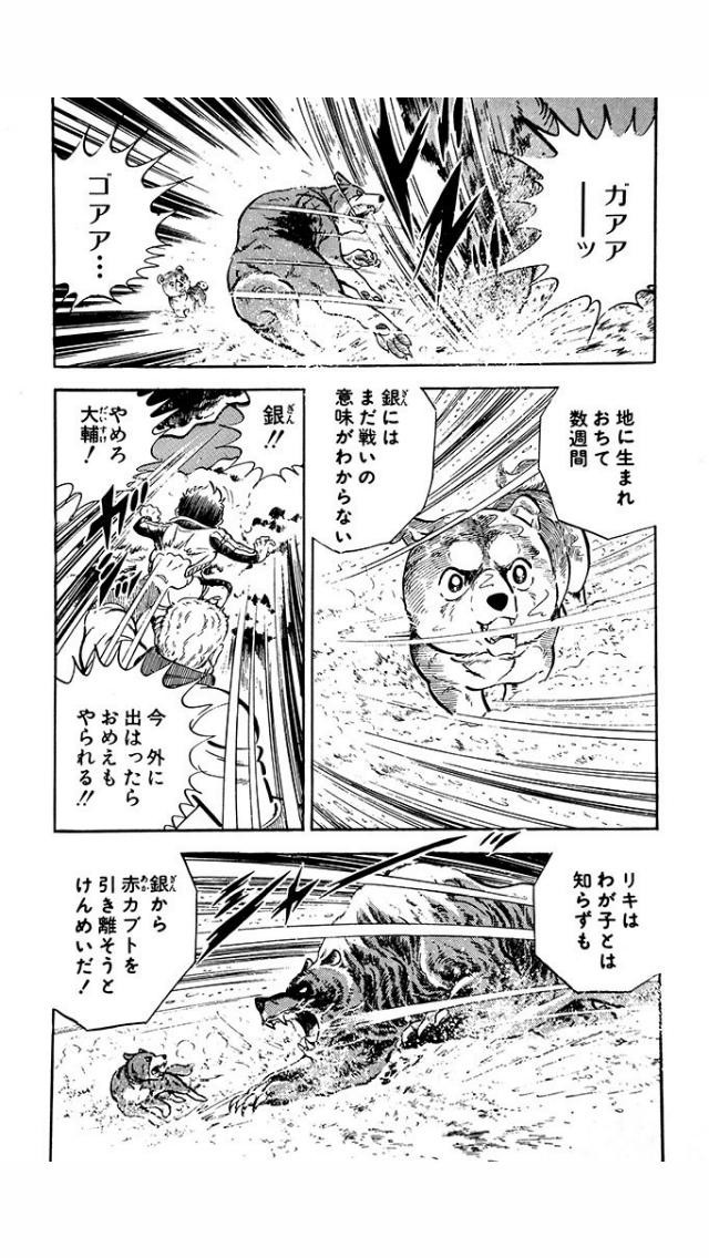 銀牙流れ星銀　パーカー 未使用 FaNeMa / 『銀牙 -流れ星 銀-』 パーカー BLACK