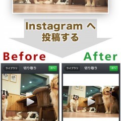 動画を正方形に簡単に編集できるアプリ【正方形どん - 長方形の動画を Instagram 用に簡単変換】の紹介のアイコン