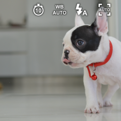 マクロ撮影も自由自在！アプリ「ズームカメラ」で素敵な写真を量産しよう！のアイコン