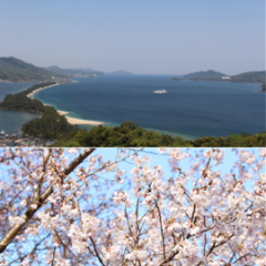 さらに高度な写真編集・加工をお望みの方必見！！無料で使えるハイクオリティアプリ「Adobe Photoshop Express」のアイコン