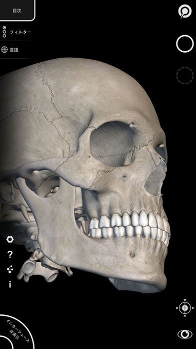 アーティストのための3D解剖学的構造 | バージョン 1.2 | スクリーンショットその2