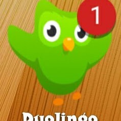 英語力アップに！英語学習の神アプリDuolingoをご紹介！のアイコン