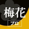梅花キットプロ - 御詠歌の旋律アプリ プロフェッショナル版のアイコン