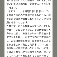 簡単操作ですぐ審査！安心して使えるカードローンアプリ「新生銀行カードローン レイク　公式アプリ新生銀行 Ｌ」のアイコン