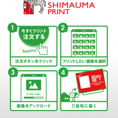 高品質で低価格ネットプリントサービス『しまうま写真プリント』のご紹介のアイコン