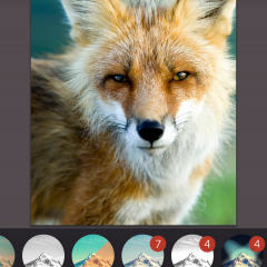 なぞって加工「Repix - 想像力を刺激するフォトエディタ」のアイコン