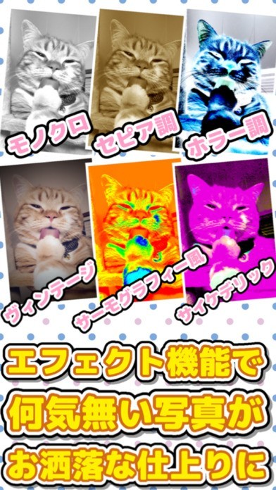 フォトアレ 2 | スクリーンショットその2